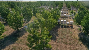 KONYA ŞEKER YAKLAŞIK 21 MİLYON AĞAÇ DİKTİ, 67 ORMAN OLUŞTURDU 