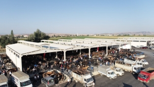 ILGIN HAYVAN PAZARI AÇILDI