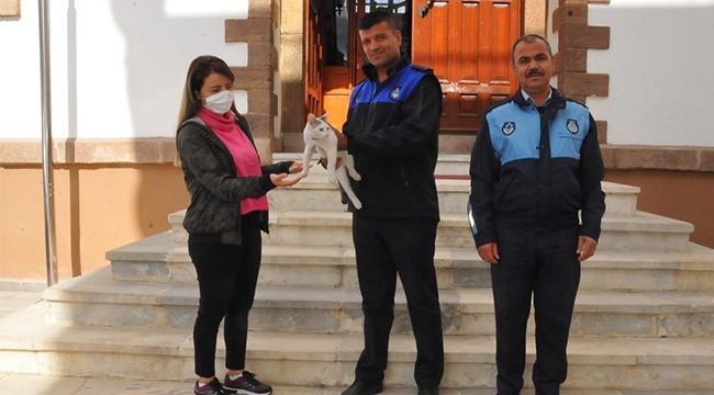 KAYBOLAN KEDİYİ ZABITA BULDU