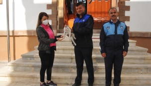 KAYBOLAN KEDİYİ ZABITA BULDU