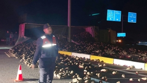 SARAY BİRİMLER DÖRTYOL KAVŞAĞI'NDA KAZA: KAMYON DEVRİLDİ