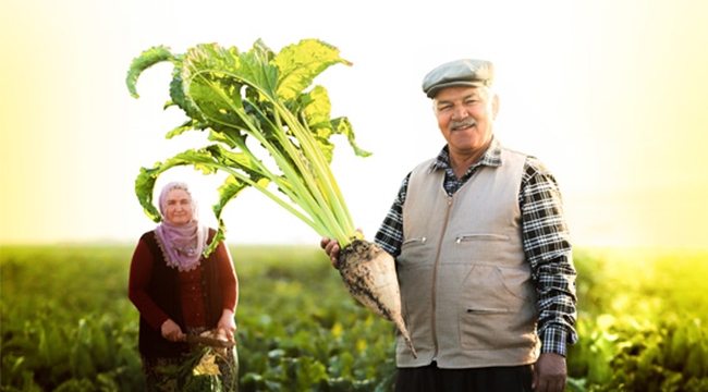 ŞEKER PANCARI, TON BAŞINA: 420 LİRA