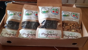 "DEREÇİNE'Yİ TANITMAK İSTİYORUZ"