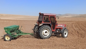 YUNAK'TA EKİM BAŞLADI!