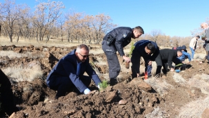 11.11 GÜNÜ SAAT: 11.11'DE FİDANLAR TOPRAKLA BULUŞTU