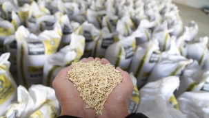 BAŞKAN ALTAY'DAN SUSUZ TARIM AÇIKLAMASI