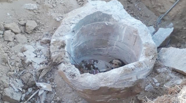 BETON BÜZ İÇİNE DÜŞEN KÖPEK, KURTARILDI