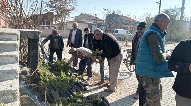 DAHA YEŞİL BİR KARABULUT İÇİN
