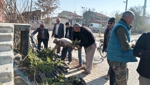 DAHA YEŞİL BİR KARABULUT İÇİN