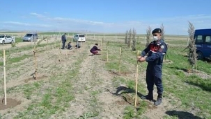 DAHA YEŞİL BİR TUZLUKÇU SEFERBERLİĞİ