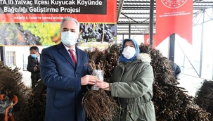 50 BİN ÜZÜM FİDANI DAĞITILDI