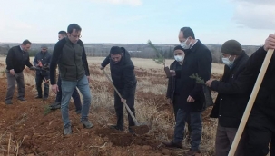 DİN GÖREVLİLERİ FİDAN DİKTİ