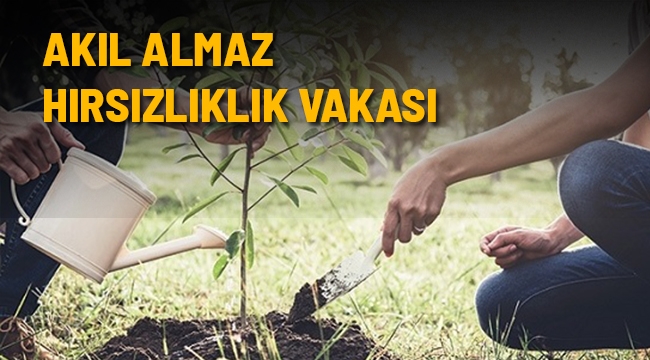 SULTANDAĞI'NDA PES DEDİRTEN HIRSIZLIK