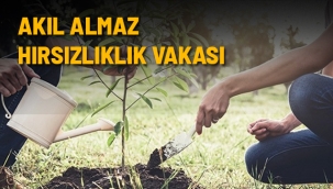 SULTANDAĞI'NDA PES DEDİRTEN HIRSIZLIK