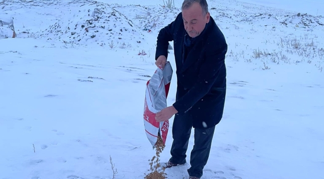 MHP YUNAK SOKAK HAYVANLARINA YEM BIRAKTI
