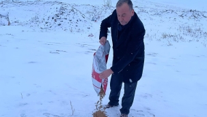 MHP YUNAK SOKAK HAYVANLARINA YEM BIRAKTI