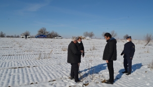 TUZLUKÇU'DA ALTERNATİF TARIM