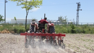 KONYA ŞEKER, PANCAR TABAN FİYATINDA ARTIŞA GİTTİ