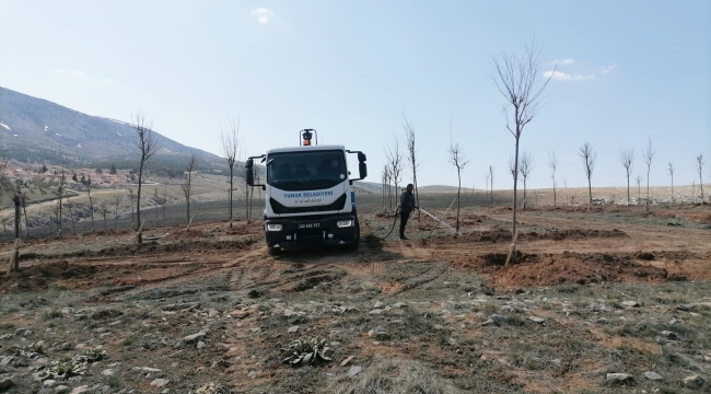 IHLAMUR ŞEHRİ;YUNAK