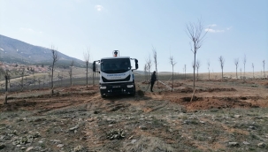 IHLAMUR ŞEHRİ;YUNAK