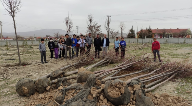 KUZÖREN ŞEHİT SİNAN AKTAY ORTAOKULU YEŞİLLENİYOR