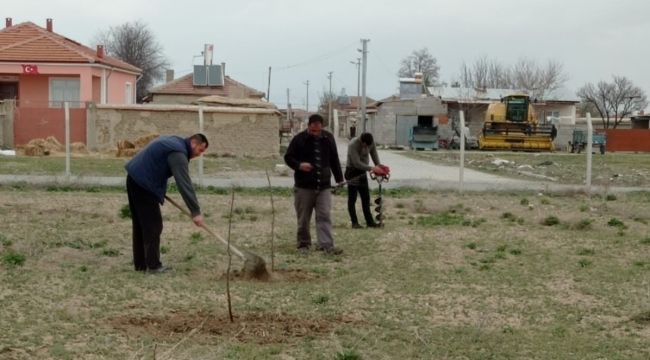TUZLUKÇU BELEDİYESİ BAĞ BUDAMA VE AĞAÇ BAKIMI ÇALIŞMALARINA BAŞLADI. 