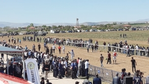 TUZLUKÇU'DA GELENEKSEL MAHALLİ AT YARIŞLARI'NA YOĞUN İLGİ