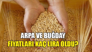 2022 Arpa ve Buğday Fiyatları Açıklandı