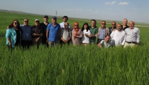 SELÇUKYALI ŞAİRLER YAVAŞLI'DA 