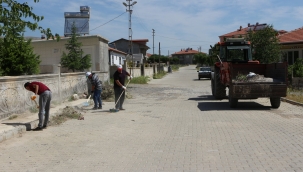 YUNAK'DA BAHAR TEMİZLİĞİ 