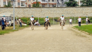 Eşekler Birincilik İçin Koştu 