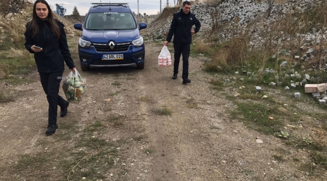 Akşehir Belediyesi Zabıtası Denetimlerini Sürdürüyor 