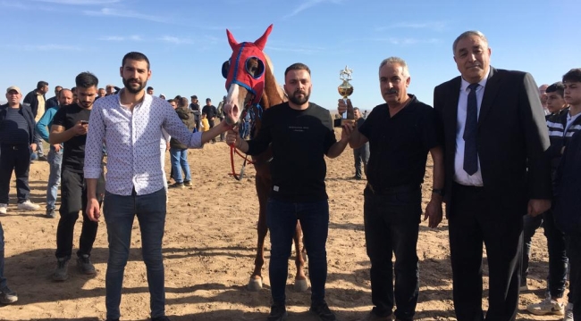 TUZLUKÇU'DA GELENEKSEL MAHALLİ AT YARIŞLARI YAPILDI. 