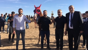 TUZLUKÇU'DA GELENEKSEL MAHALLİ AT YARIŞLARI YAPILDI. 