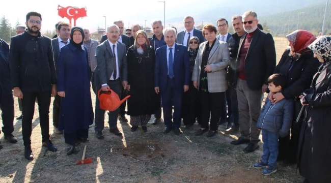 AK KADINLAR TÜRKİYE YÜZYILINA NEFES İÇİN FİDAN DİKTİ
