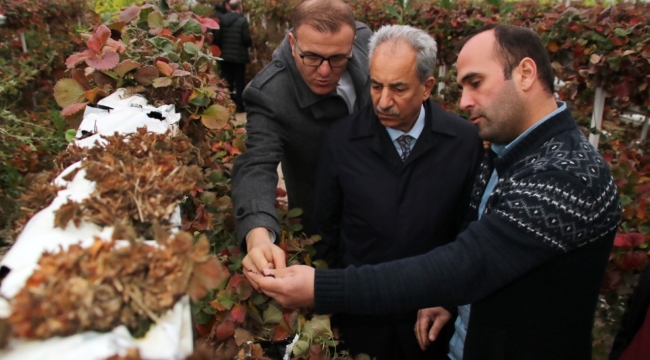 Milletvekili Etyemez: Konya Tarımın Başkenti 