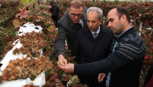 Milletvekili Etyemez: Konya Tarımın Başkenti 