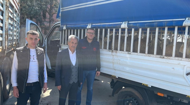 DEPREM BÖLGESİNE  AKŞEHİR'DEN HAYVAN DESTEĞİ 