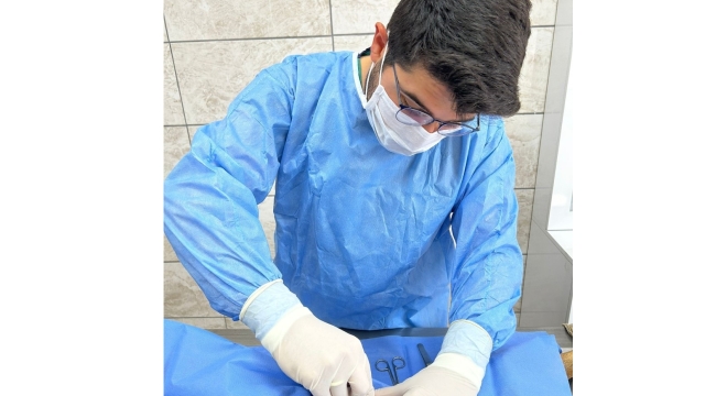 Akşehir Belediyesi Sokak Hayvanlarını Kısırlaştırmaya Devam Ediyor 