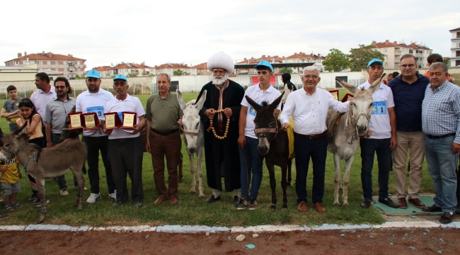 Eşekler Birinci Olmak İçin Yarıştı 