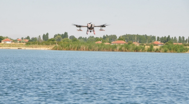Kronomid Sineğine Drone ile Müdahale 