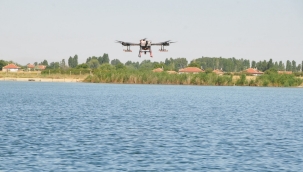 Kronomid Sineğine Drone ile Müdahale 