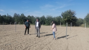 AKŞEHİRDE YETİŞEN SİYAH İNCİLER 