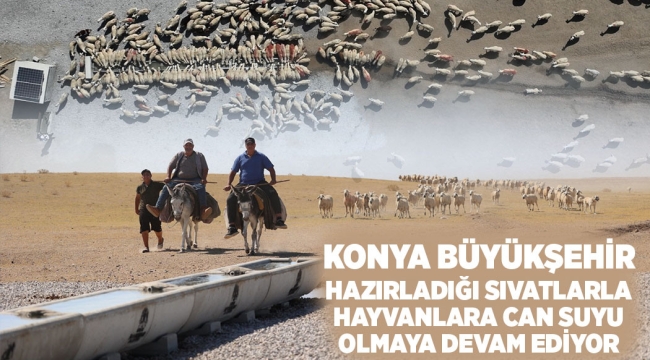 KONYA BÜYÜKŞEHİR HAZIRLADIĞI SIVATLARLA HAYVANLARA CAN SUYU OLMAYA DEVAM EDİYOR 