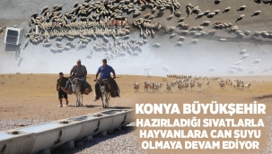 KONYA BÜYÜKŞEHİR HAZIRLADIĞI SIVATLARLA HAYVANLARA CAN SUYU OLMAYA DEVAM EDİYOR 