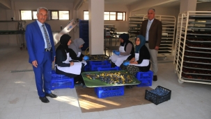 MEYVE KURUTMA TESİSİNDE ÜRÜN ÇEŞİTLİLİĞİ ARTIYOR 