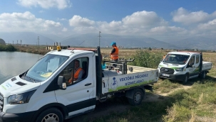 Akşehir'de haşereyle mücadele devam ediyor 