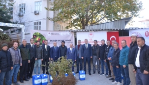 AKŞEHİR ORGANİK TARIMLA; BÖĞÜRTLEN BAHÇELERİNE KAVUŞUYOR 