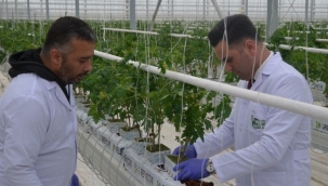 KAYMAKAM TUĞ,JEOTERMAL SERADA FİDAN DİKİM TÖRENİNE KATILDI 