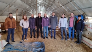 ÇADIR AĞILLAR VE AHUDUDU,BÖĞÜRTLEN SERALARINDA İNCELEMELERDE BULUNULDU 